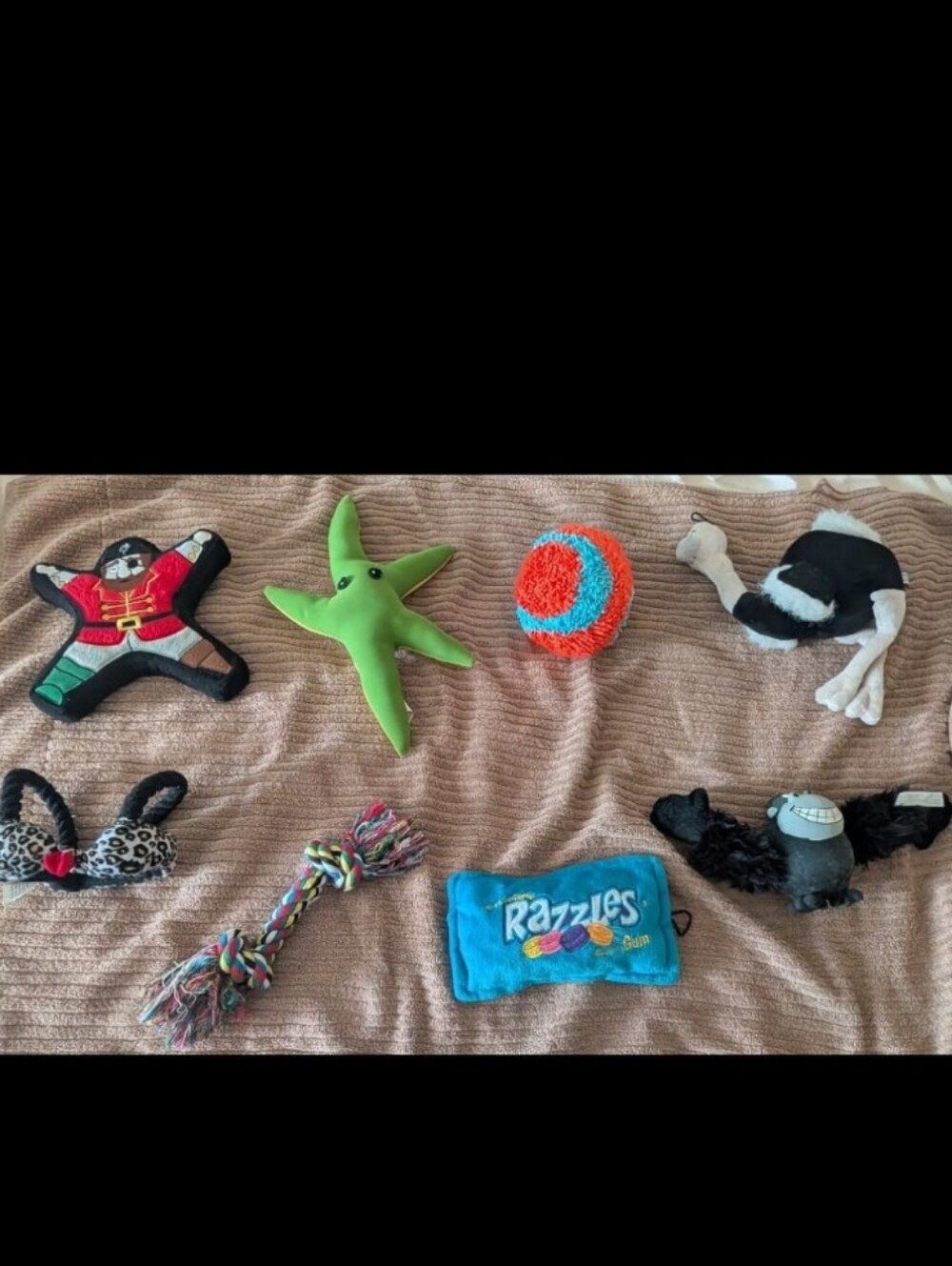 Assortment Of Eight Interactive Dog Toys